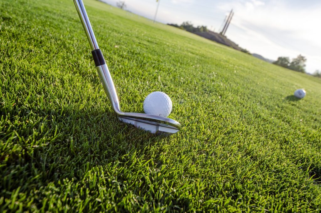 fer golf